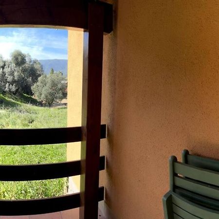 Maison Au Calme Avec Piscine Et Climatisation Sollacaro 外观 照片