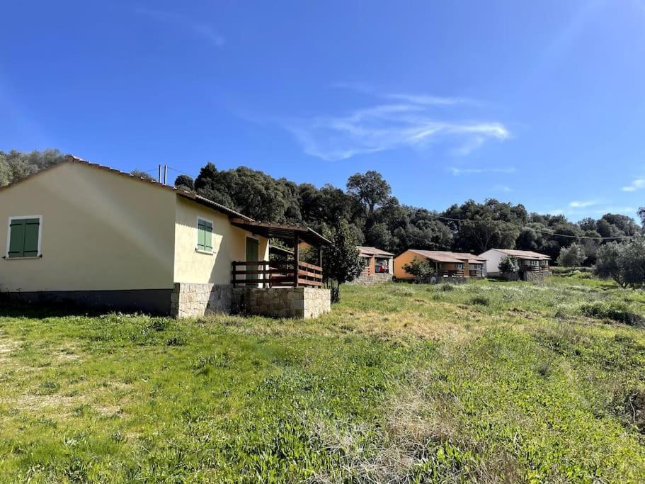 Maison Au Calme Avec Piscine Et Climatisation Sollacaro 外观 照片